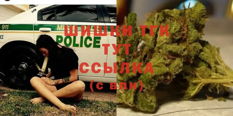 Каннабис THC 21%  Дальнегорск 